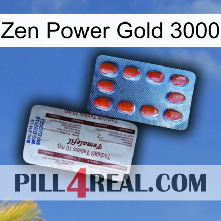 Zen Power Gold 3000 36